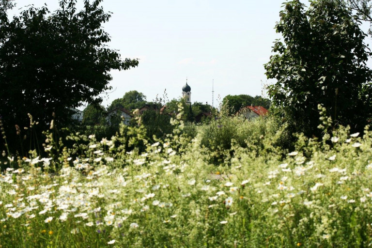 Forstinning vom Süden aus (Juni 2014)